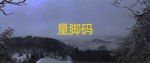 三角洲pc辅助科技量脚码